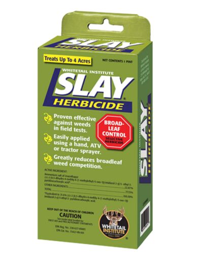 Slay Herbicide - 4 oz