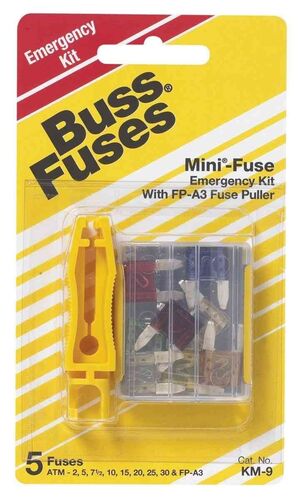 Mini Blade Fuse Assortment
