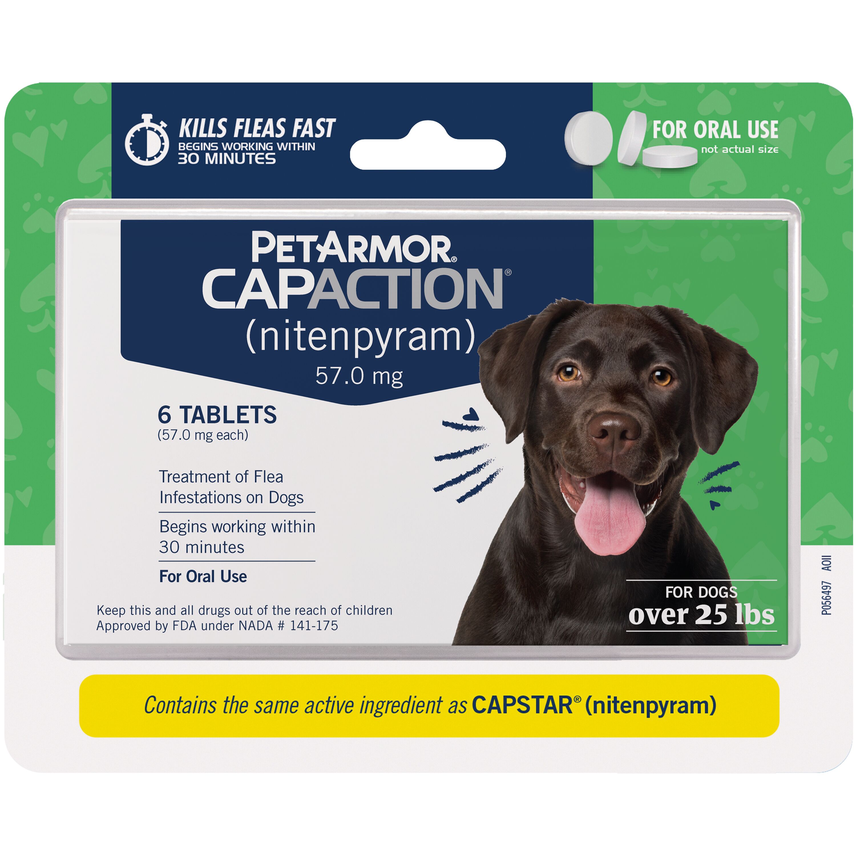 Top 9 Best oral flea medication for dogs