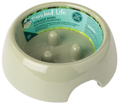 Enriched Life Forage Bowl in Green - Large