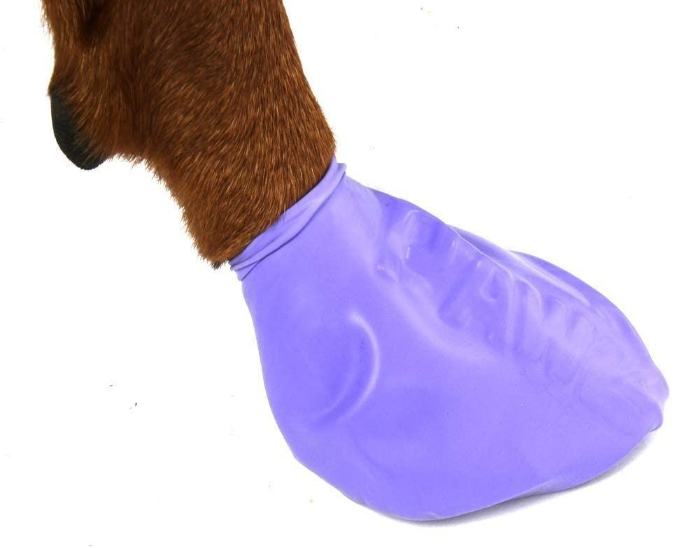 Natural Rubber Dog Boots Large in Purple