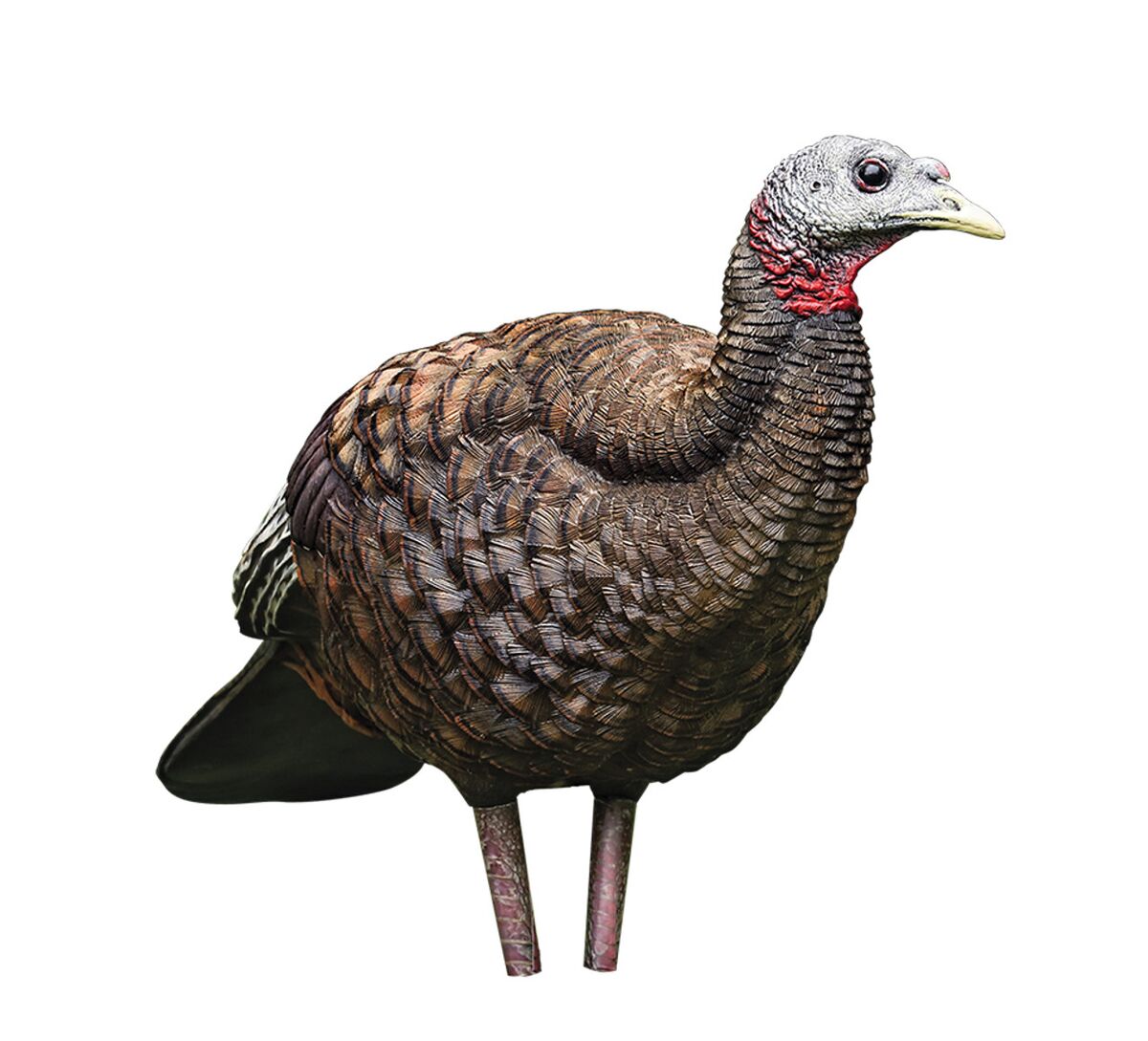 LCD Breeder Hen Turkey Decoy