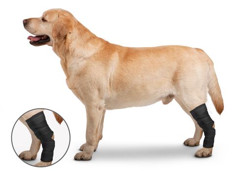Hock Protector Ortho Wrap for Dogs - Medium