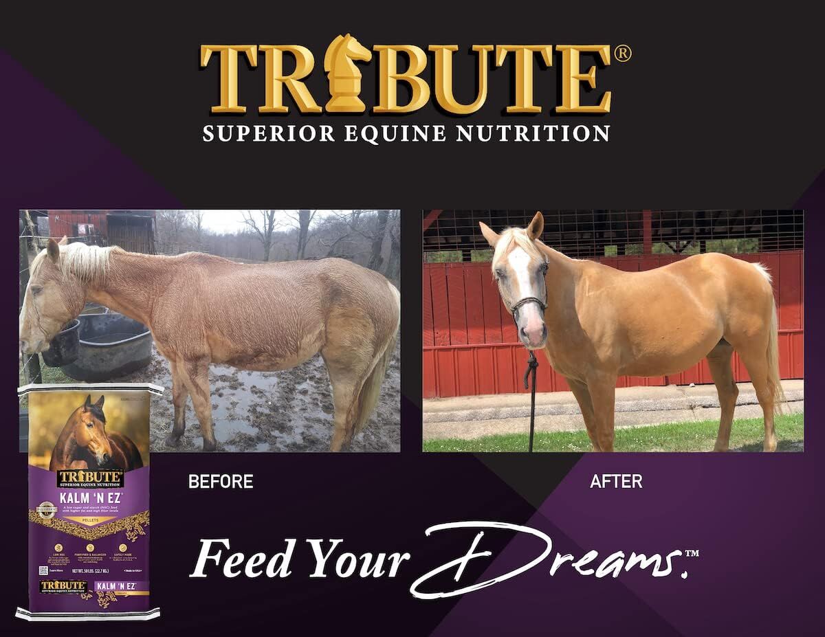 Tribute Kalm 'N EZ Pelleted Horse Feed 50 lb