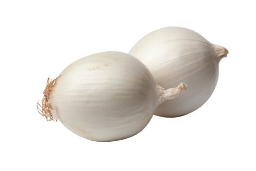 White Bulk Onion Sets - Sold in Bulk Per Pound