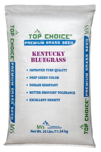 Kentucky Bluegrass Premium Bulk Grass Seed - (Sold by the Lb)