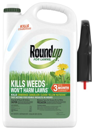 Roundup For Lawns RTU Weed Killer - 1 Gallon