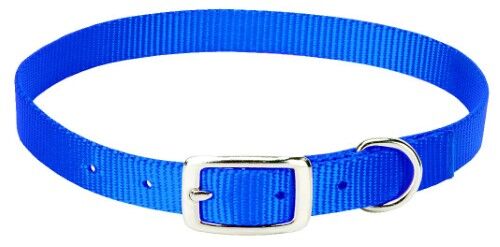 5/8 Inch Small Goat Collar in Blue