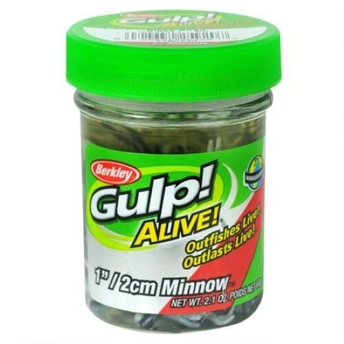 Gulp! Alive! 1" Minnow - Black Shad