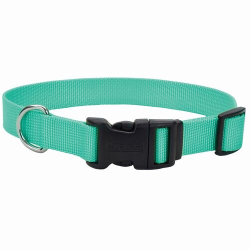 5/8 X 10-14 Adjustable Dog Collar with Plastic Buckle in Teal