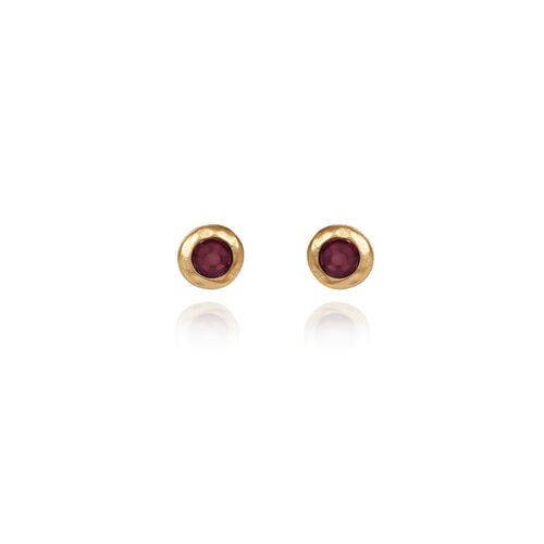 Organic Frame with Stone Earrings in Gold