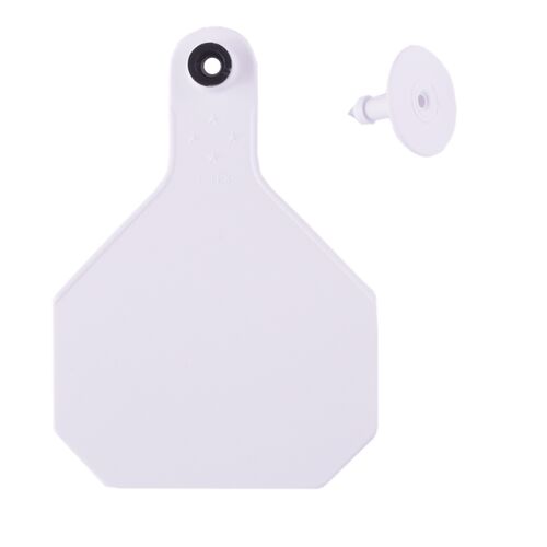 All-American 4* Large Blank 2-Piece Ear Tag in White - 25 Tags