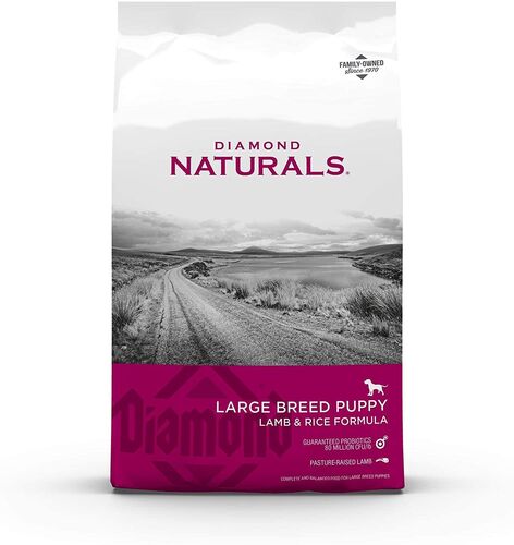 Large Breed Puppy Lamb & Rice Formula