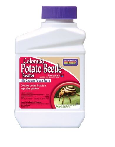 Colorado Potato Beetle Concentrate - 16 oz