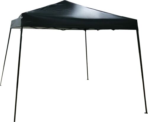 10' x 10' Instant-Up Canopy