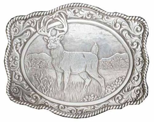 White Tail Buck with Western Scroll Buckle