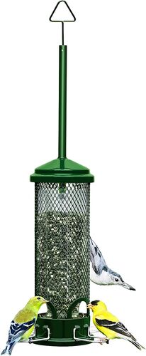 Squirrel Buster Mini