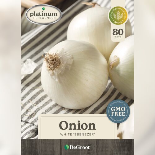 Onion - White 'Ebenezer' 80 Sets
