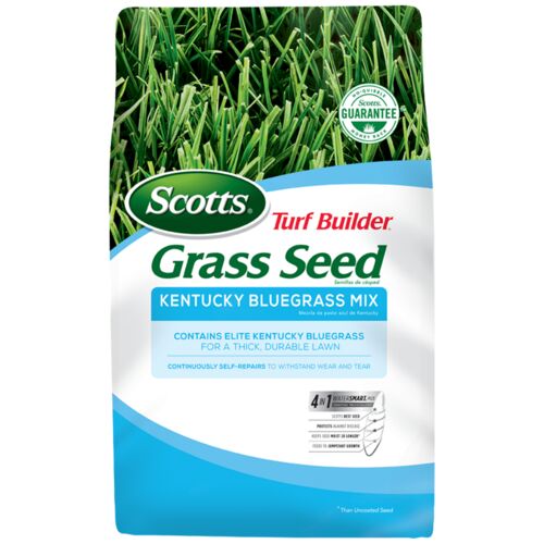 Turf Builder Grass Seed Kentucky Bluegrass Mix - 3 Lb