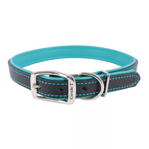Circle T Layered Fashion Leather Dog Collar