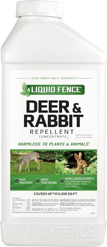 Deer & Rabbit Repellent Concentrate - 40 oz