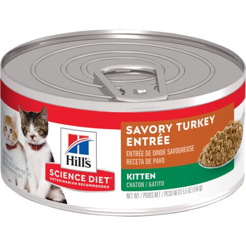 Kitten Savory Turkey Entree Cat Food - 5.5 oz Can