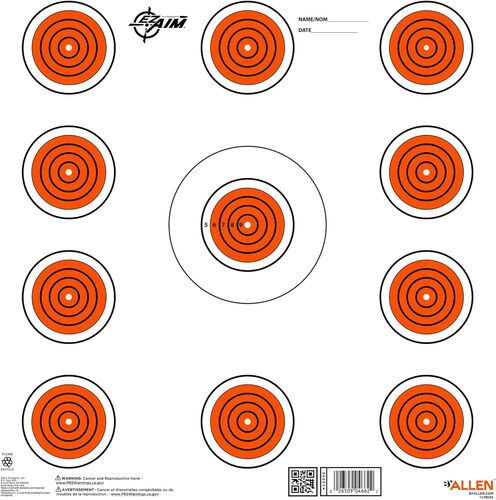 EZ Aim Paper Shooting Targets - 12" Square 11-Spot Indoor Targets 13-Pack