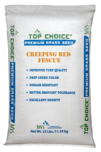Creeping Red Fescue Premium Bulk Grass Seed - (Sold by the Lb)