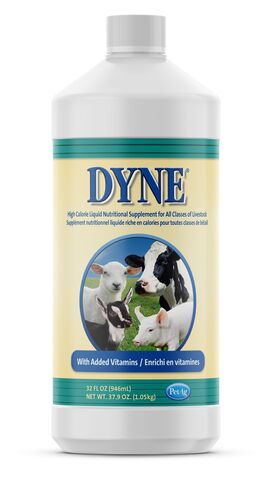 Dyne High Calorie Liquid Nutritional Supplement for Livestock - 32 oz