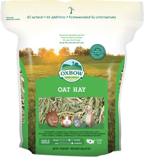 Oat Hay - 15 oz