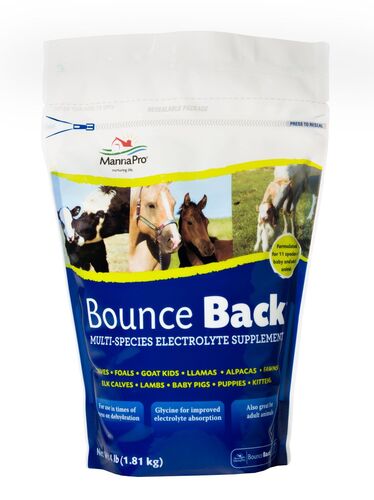 Bounce Back Electrolyte