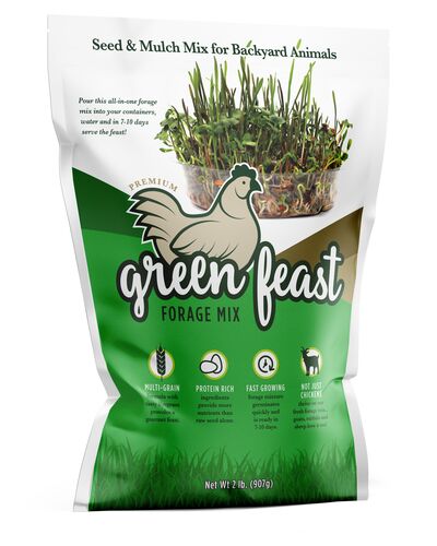 Green Feast Forage Mix - 2 lb