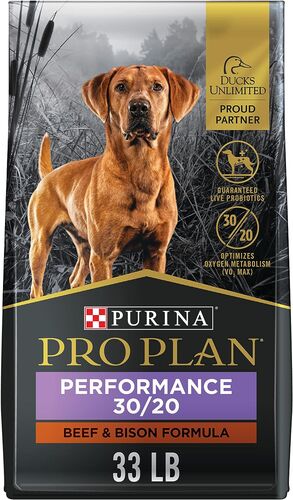 Sport Performance 30/20 Beef & Bison Dry Dog Food - 33 lb