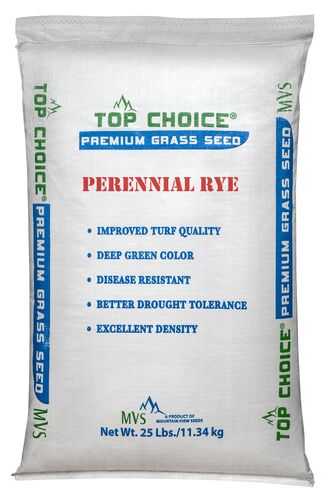 Perennial Ryegrass Premium Bulk Grass Seed - (Sold by the Lb)