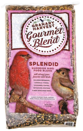 Gourmet Blend Splendid Superior Bird Food Blend  - 40 lb Bag