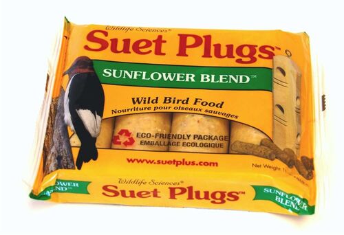Suet Plugs - Peanut Blend