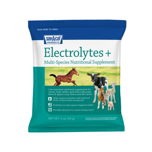 Electrolytes Plus Multi Species Supplement - 4 oz