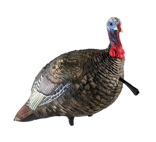 LCD Quarter Strut Jake Lightweight Turkey Hunting Decoy