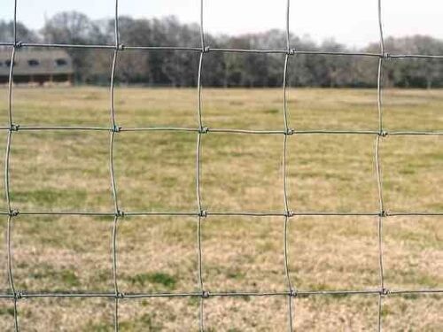 Sheep and Goat Fence
