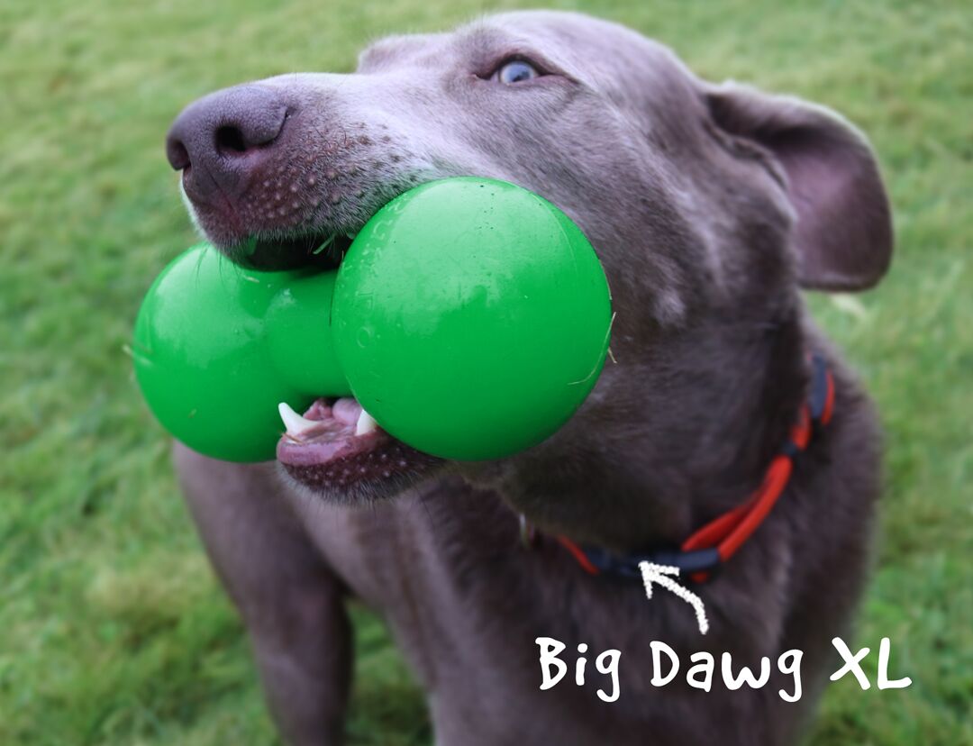 Big Dawg Solid Rubber Retrieving Dog Toy
