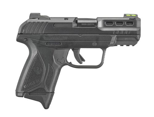 Security-380 .380 ACP Centerfire Pistol