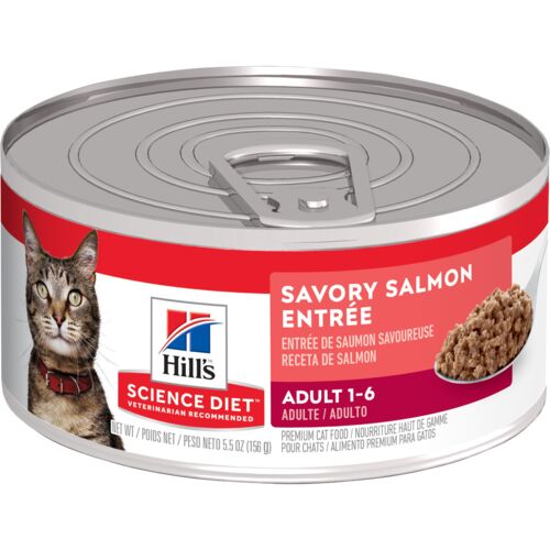 Adult Savory Salmon Entree Cat Food - 5.5 oz