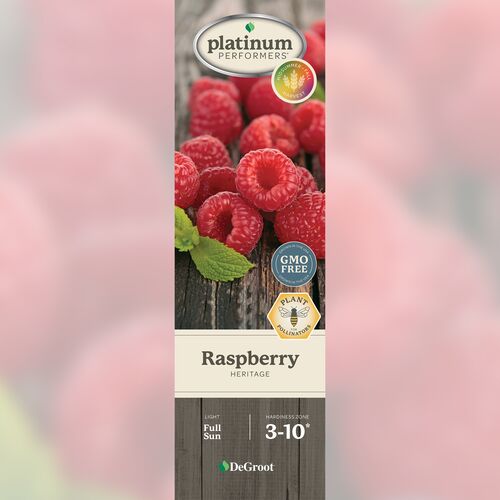 Raspberry - Heritage Red