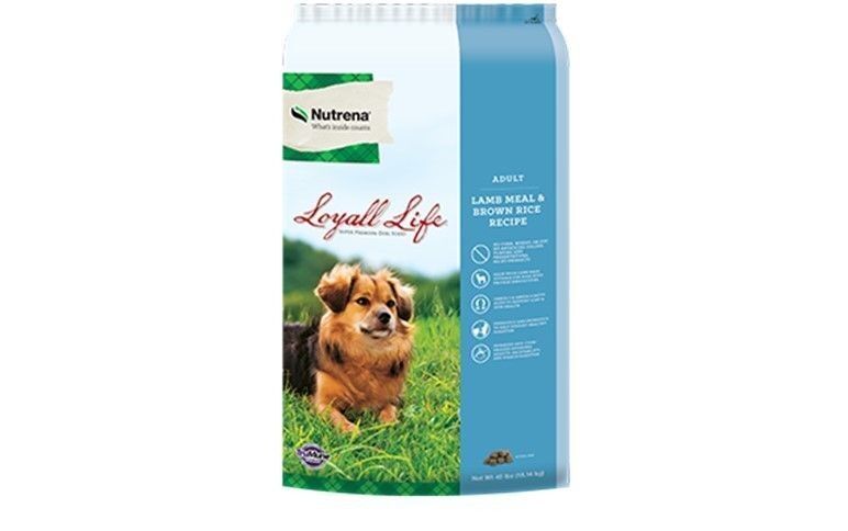 Nutrena Loyall Life 6 Lbs Adult Lamb Brown Rice Dog Food