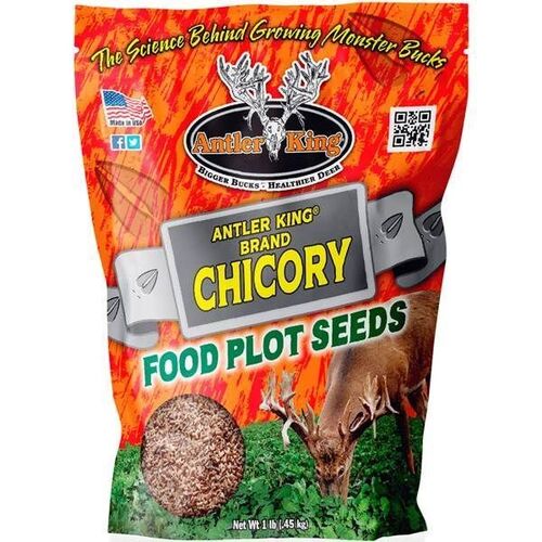 Chicory Food Plot Seed - 1 lb