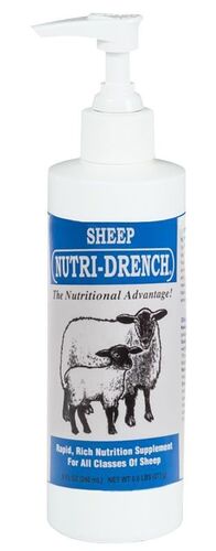 Nutri-Drench for Sheep - 8 oz