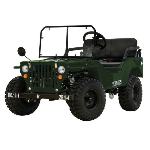 Mini 125