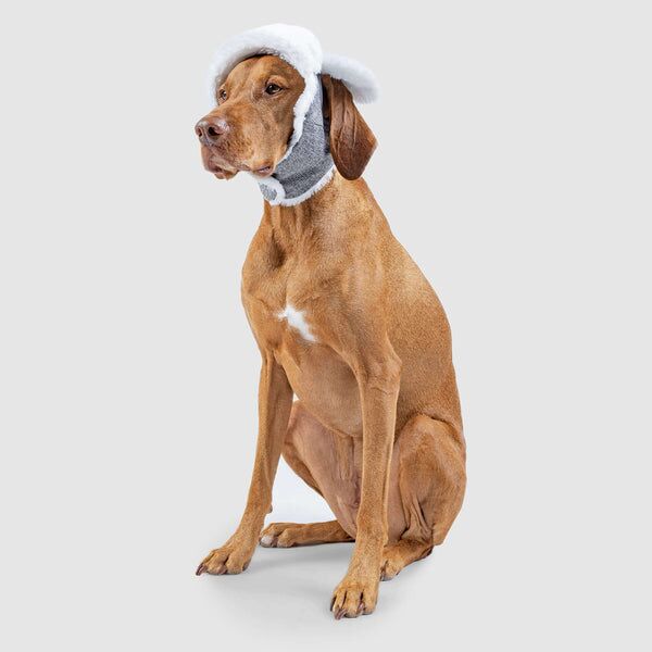 Canada Pooch Arctic Air Dog Hat