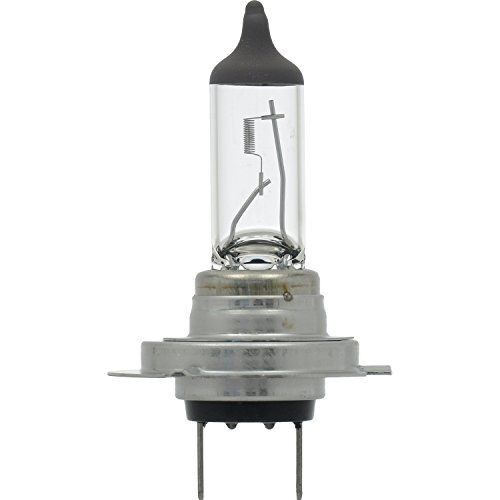 H7 Basic Halogen Headlight Bulb - 1 Pack