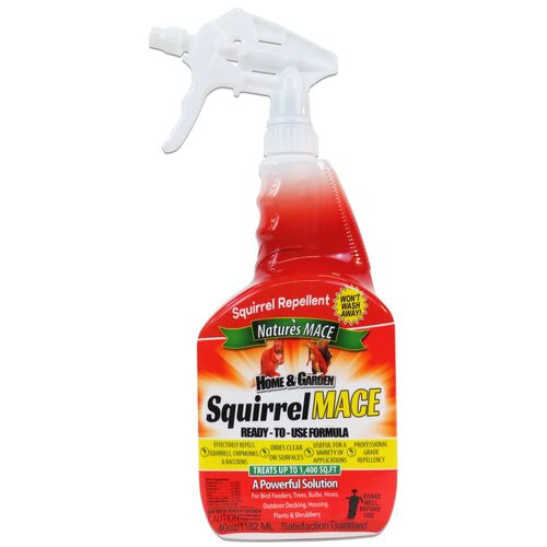 Squirrel Mace